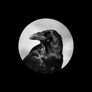 大腚视频色大腚
